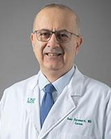 Amir Faramarzi image